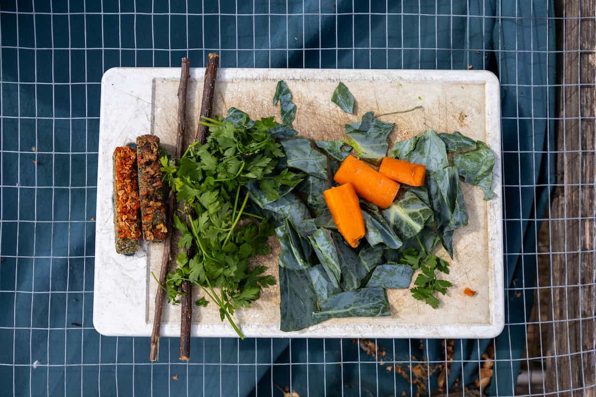An overhead view of a rabbit’s meal containing leafy greens, herbs, vegetables and pellets.