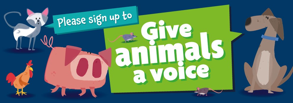 Give animals a voice | RSPCA