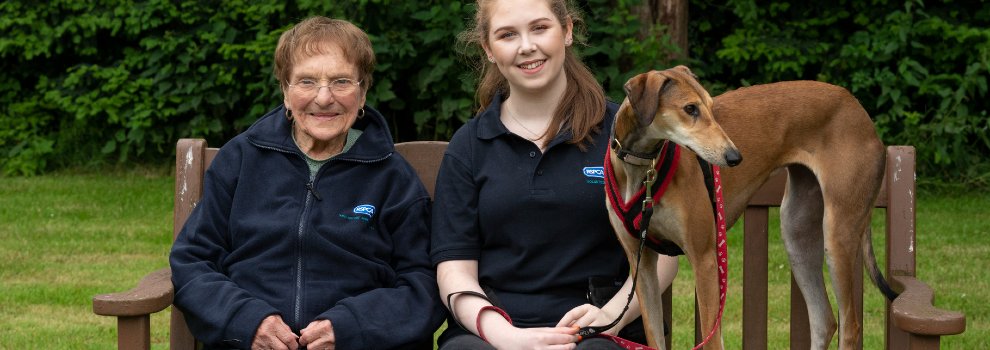 Be a Volunteer & Work in Animal Welfare | RSPCA