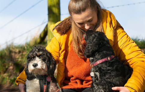 Jobs | RSPCA Jobs | RSPCA
