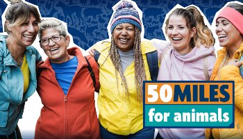 fundraising event 50 miles for animals banner image © RSPCA