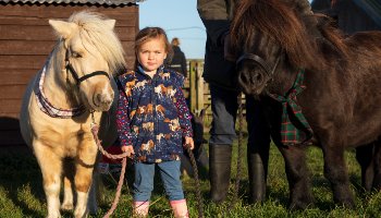 Groom with horse in stable yard