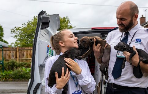 Jobs | RSPCA