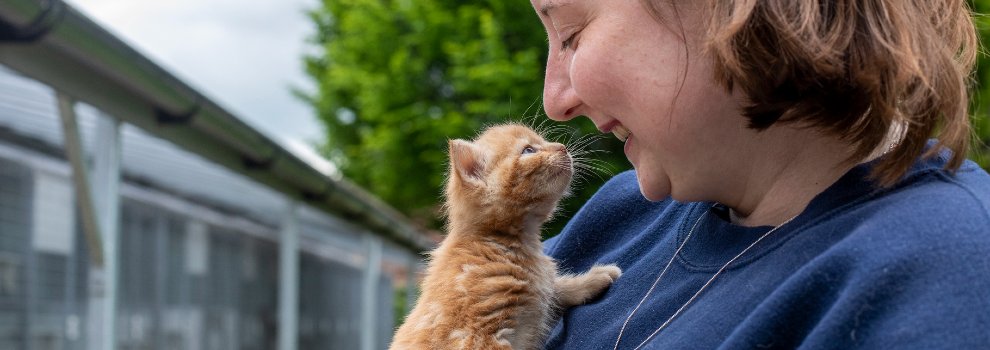 Can you help foster an animal? | RSPCA