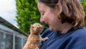 ginger kitten nose to nose with a young woman who is holding them
