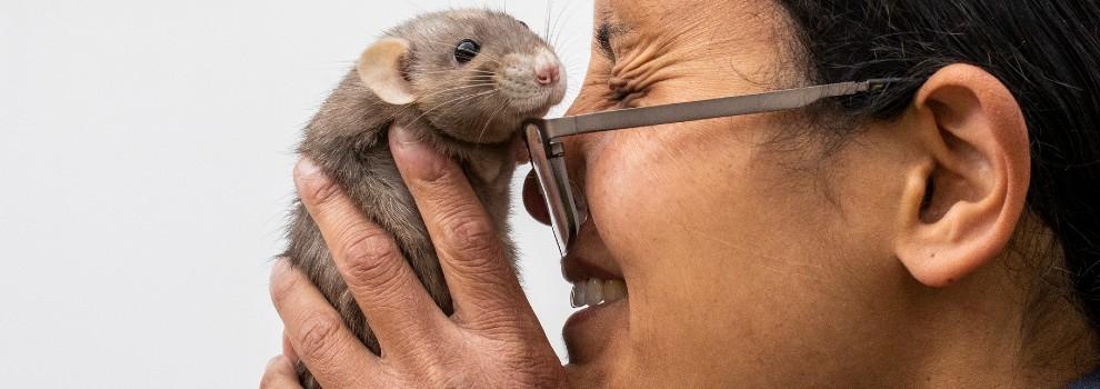 rat being held up to smiling woman's face