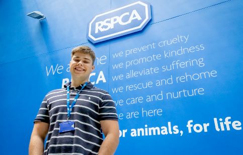 Jobs | RSPCA Jobs | RSPCA