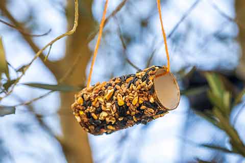 Nature Mates - Wild bird feeders in Australia