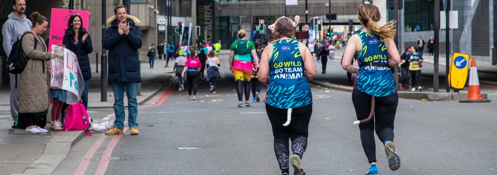 runners wearing team animal running vests for the rspca