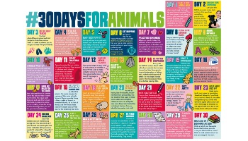 RSPCA 30 day challenge