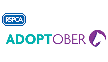 Adoptober horse week © RSPCA