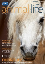 Animal Life magazine cover