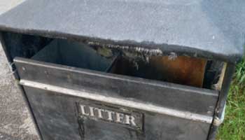 Bin the kittens were found in