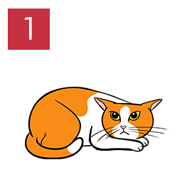 Graphic of cat lying down with flatterned and tense body