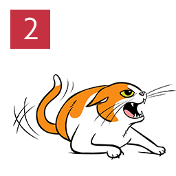 Graphic of cat with body slightly rolled and showing teeth angrily