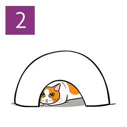 Graphic of cat hiding