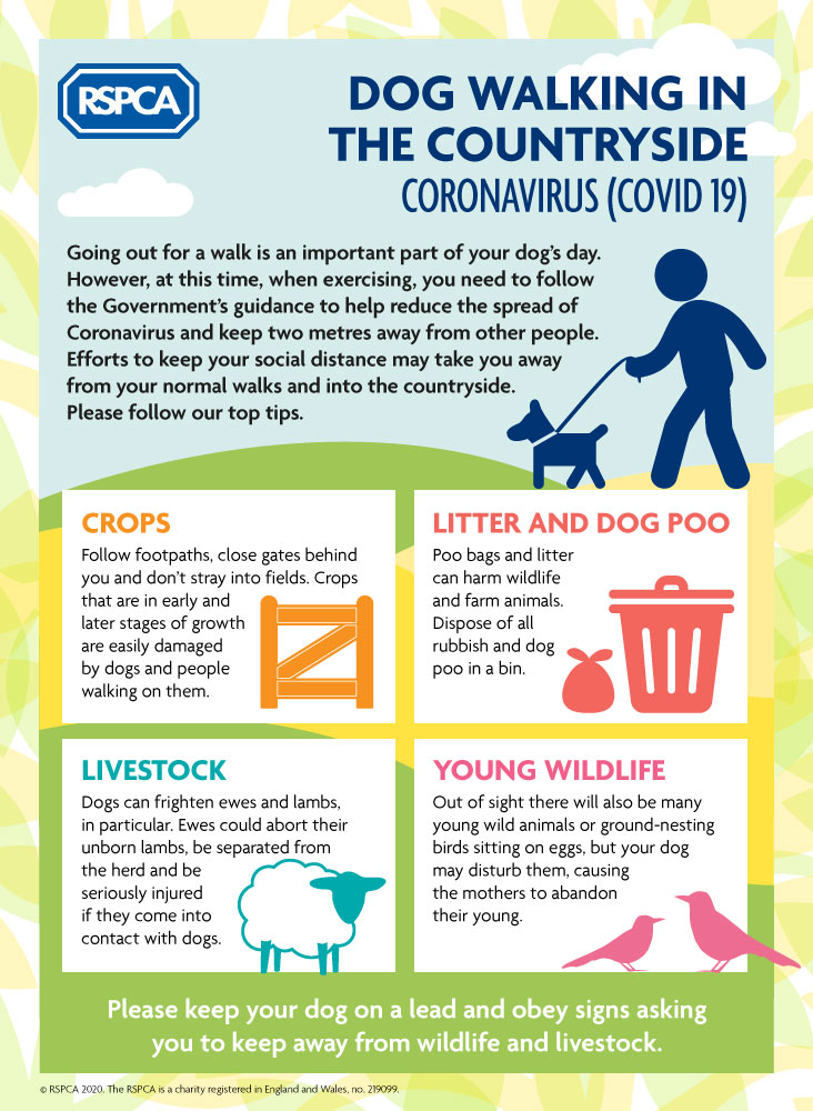 Walking your dog in the countryside infographic © RSPCA