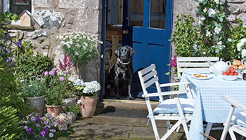 Dog sitting in the doorway of a cottage