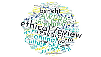 What is ethical review? - RSPCA