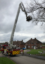 Fire and rescue using a platform to reach the cat