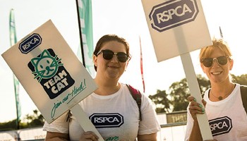 RSPCA supporters on a run wearing RSPCA branded vests