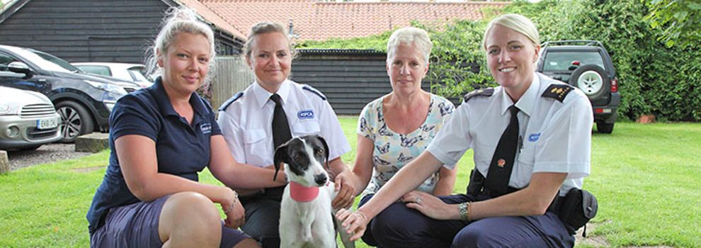 lurcher style dog sitting with four people outside © RSPCA