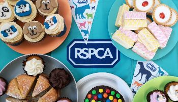 cakes and bunting on a table © RSPCA
