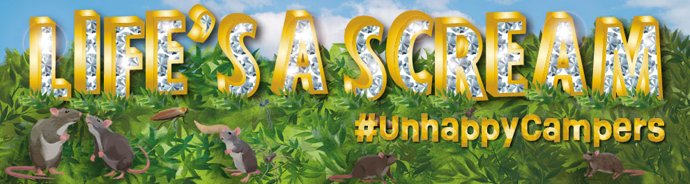 I'm A Celebrity | Campaign | RSPCA I'm A Celebrity | Campaign | RSPCA