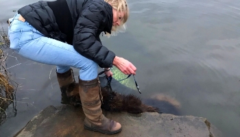 Jane Harpur rescuing Bella © RSPCA