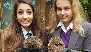 Kyra and Sophie holding hedgehogs