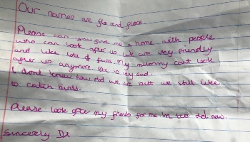 Letter left with abandoned cats © RSPCA