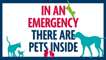 Emergency pet care plan © RSPCA
