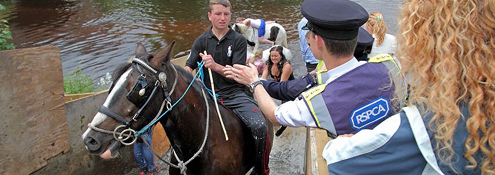 RSPCA inspector approaching horse rider at Appleby Horse Fair