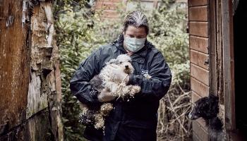 RSPCA Inspector carrying a dog