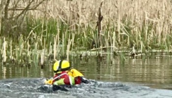 RSPCA Rescuer swimming out to trapped buzzard