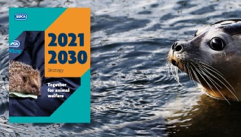 RSPCA Strategy cover 2021 © RSPCA