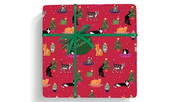selection of RSPCA Christmas cards for sale on the online shop