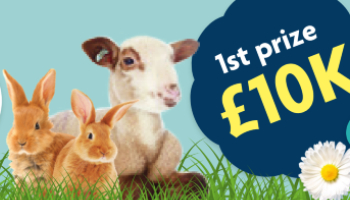 Win with the RSPCA - RSPCA