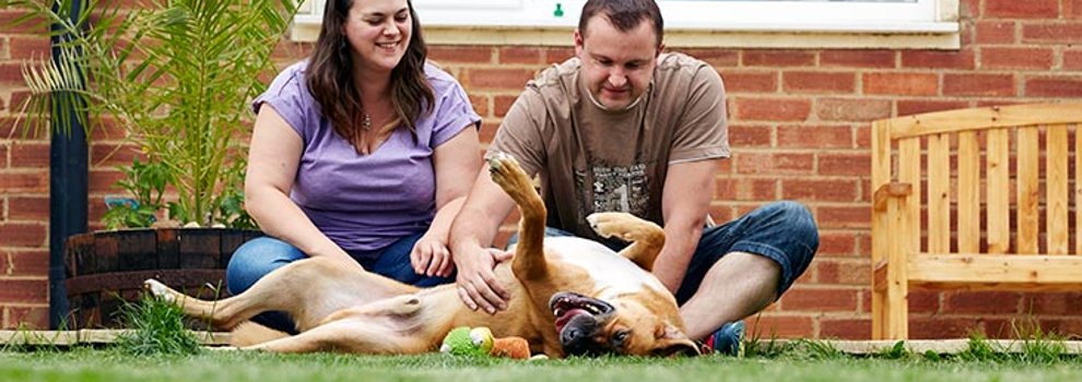 Rehome a pet | RSPCA