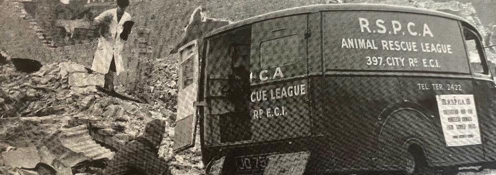 RSPCA ambulance in World War II