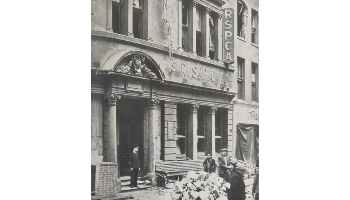 RSPCA HQ bombed in WWII