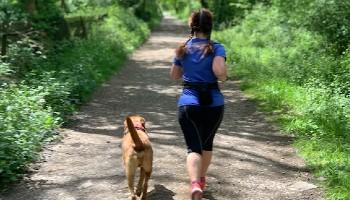 Runner out for a solo run with their dog