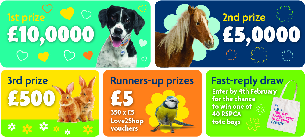 1st prize: £10,000; 2nd prize: £2,000; 3rd prize: £500; Runner up prizes: 350 x £5 Love2Shop vouchers; Fast reply draw: Enter by 5th February for the chance to win one of 40 RSPCA tote bags