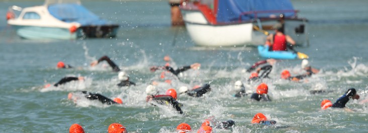 Swimmers in the water