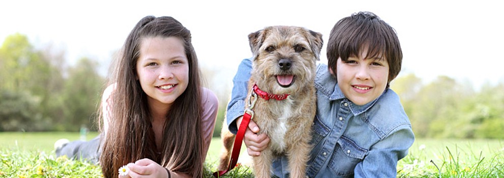 Engaging young people who support animal charity | RSPCA Engaging young people who support animal charity | RSPCA