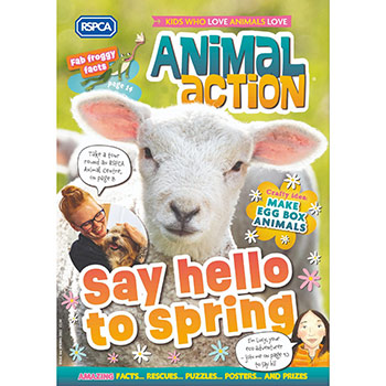 Animal Action spring magazine