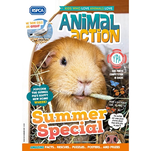 Animal Action summer special cover © RSPCA