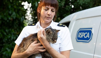 Animal Rescue Officer | Job Profile | RSPCA