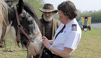 Animal rescue officer with a horse © RSPCA