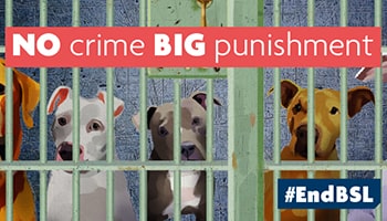 BSL graphic © RSPCA